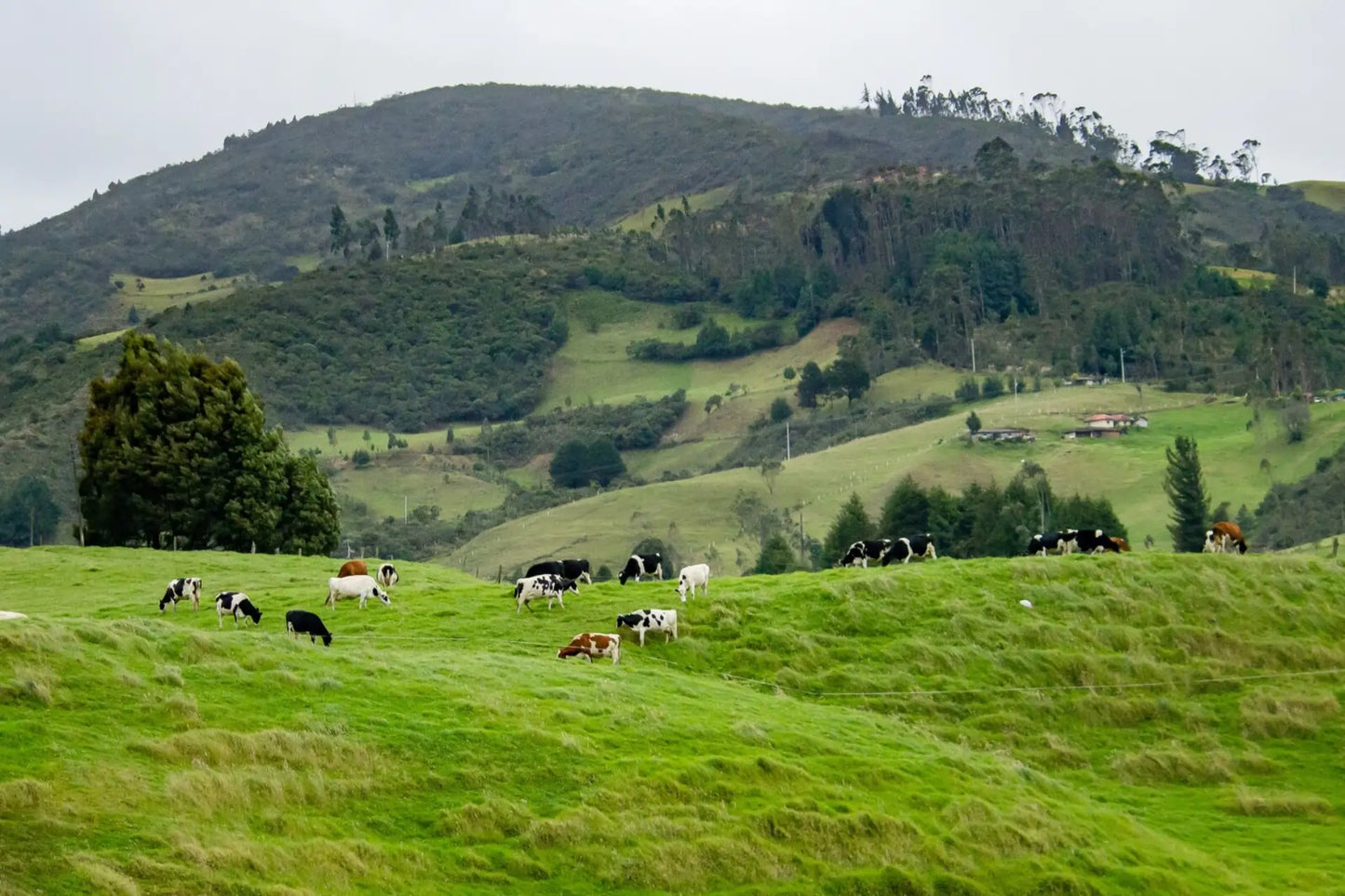 Real Results, Real Farms: The Proven Benefits of Bactivate on Productivity & Sustainability